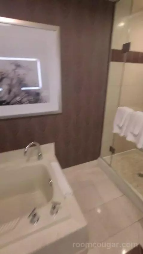 Resort Two Queen Strip View (#11217) bathroom picture #6