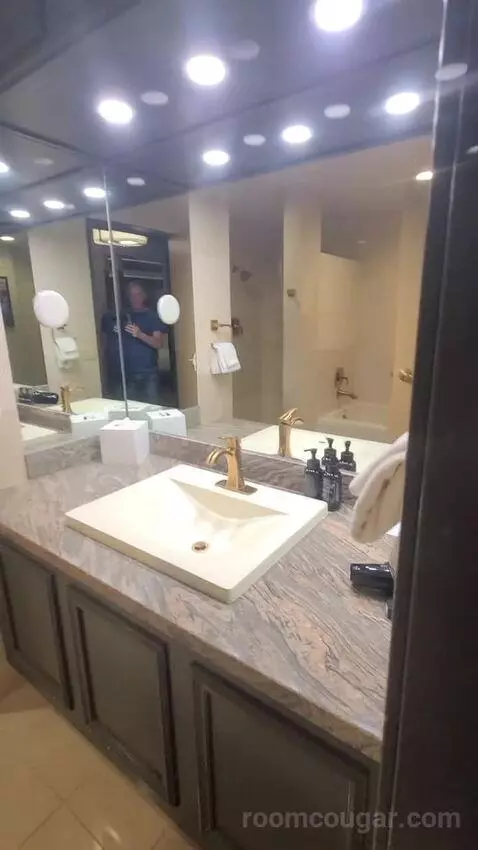 Tower Premier King (#4322) bathroom picture #2