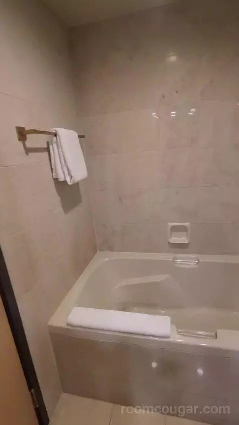 Tower Premier King (#4322) bathroom picture #5