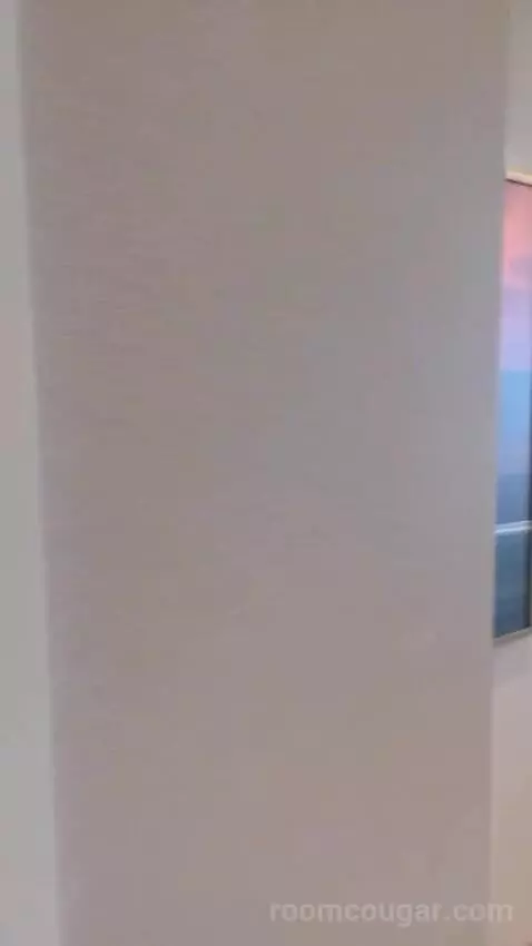 One-Bedroom Entertainment Suite with Strip View (#19221) picture #4