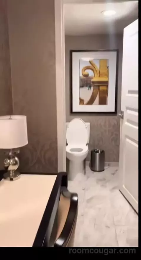 Burgundy Room, 1 King Bed (401p) picture #13