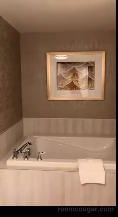 Burgundy Room, 1 King Bed (401p) picture #14