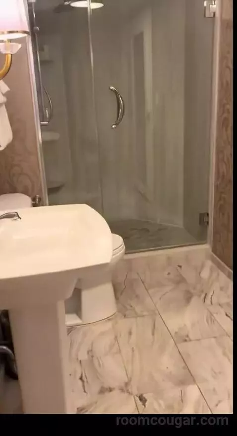 Burgundy Room, 1 King Bed (401p) picture #16