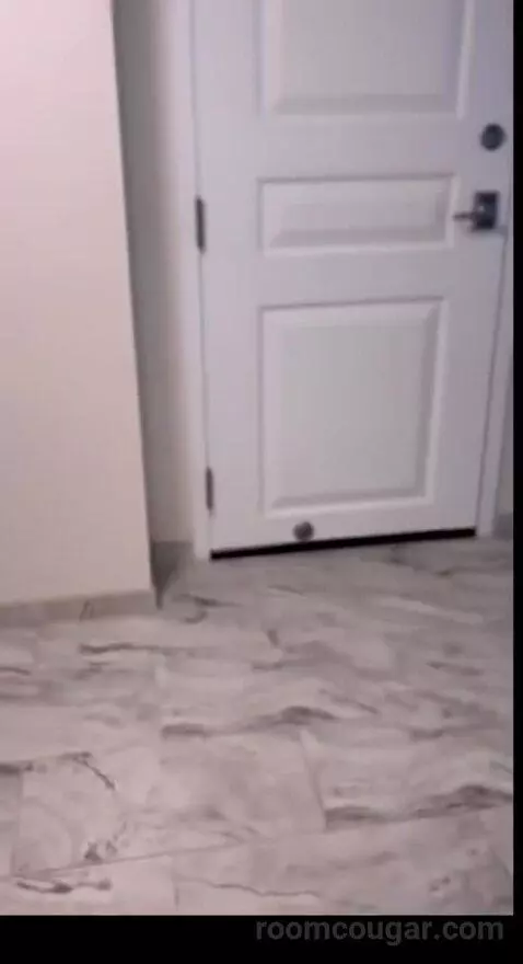 Burgundy Room, 1 King Bed (401p) picture #18