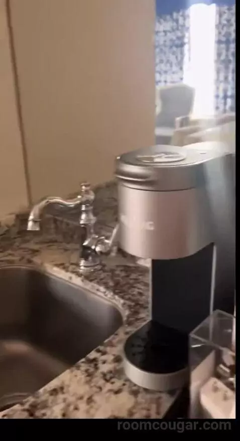 Burgundy Room, 1 King Bed (401p) picture #7