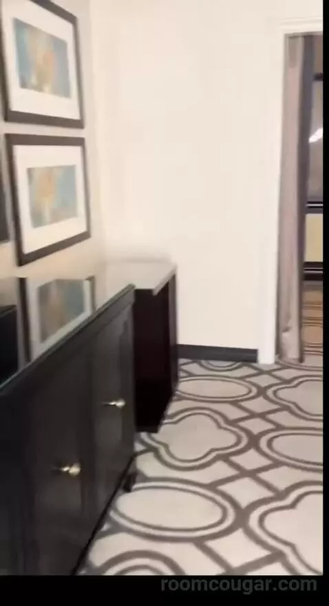 Burgundy Room, 1 King Bed (401p) picture #8